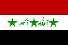 iraq's old flag