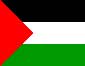 palestine flag